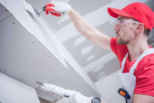 Best Fire-Damaged Drywall Repair  in Elizabeth, PA